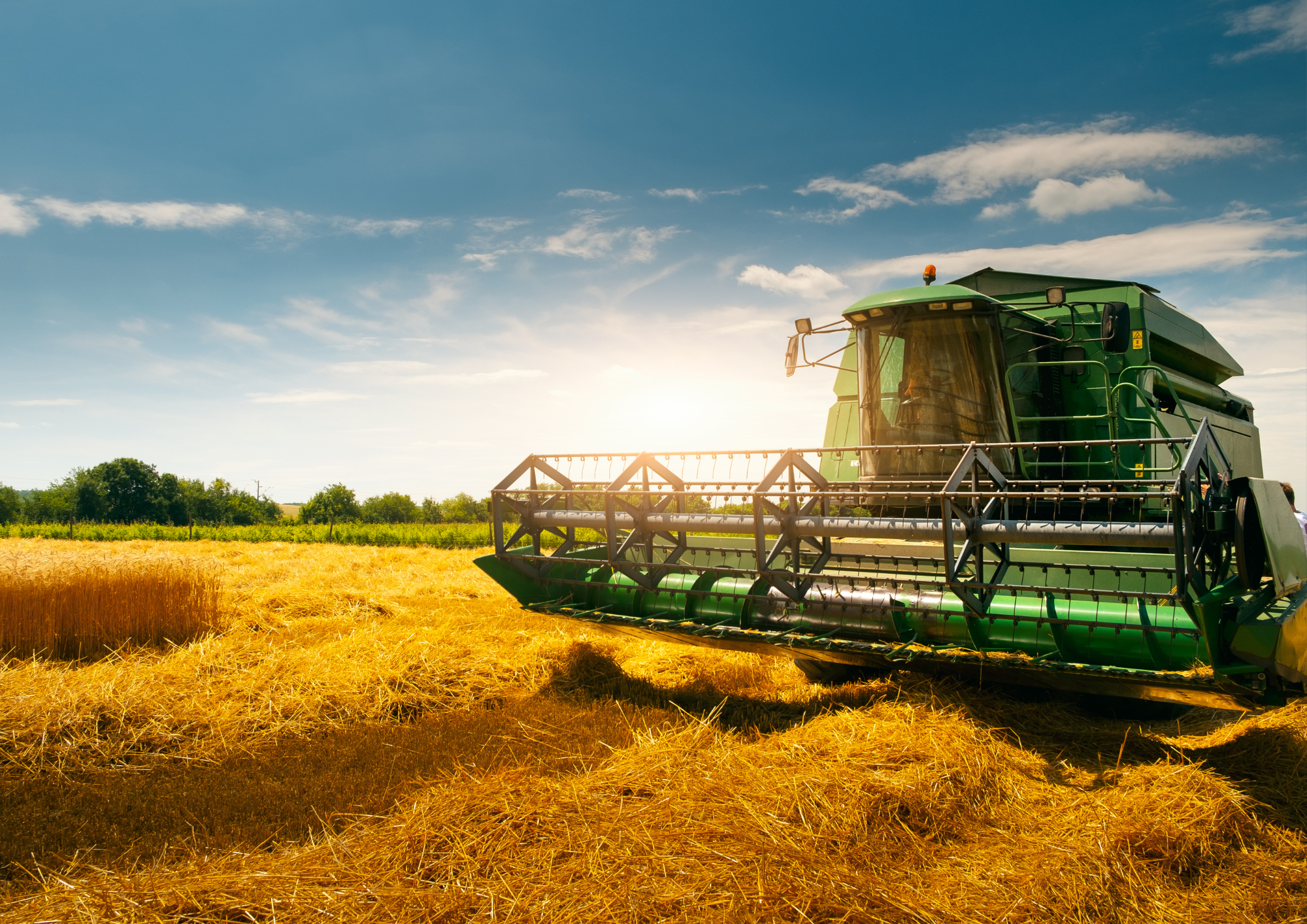 Agriculture